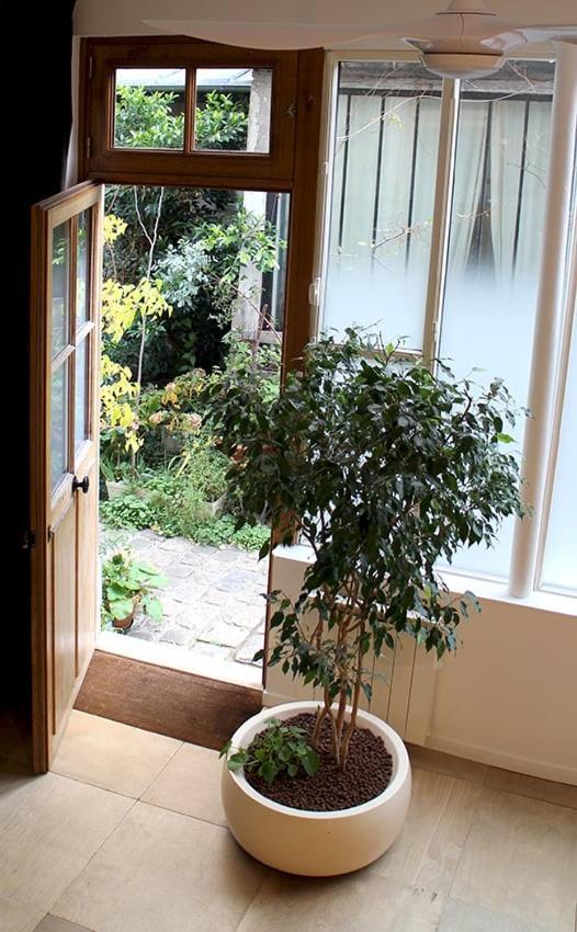 דירות פריז Atelier D'Artiste / Artist Loft / 35M2 מראה חיצוני תמונה
